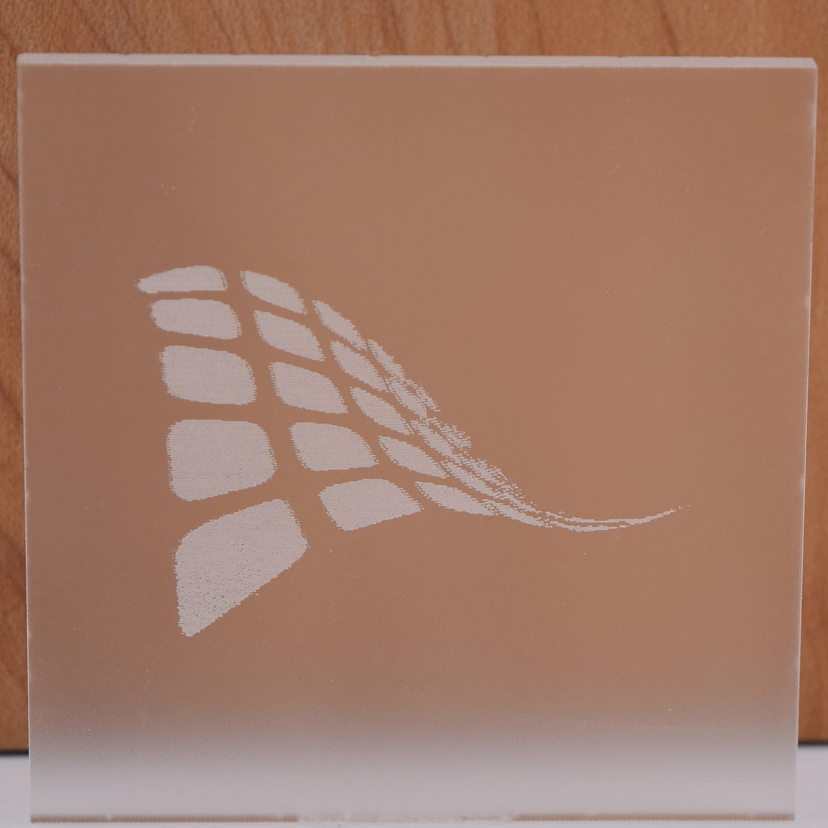 Frosted clear cast acrylic sheet, 1/8 inch (3mm), 12 by 19 inches